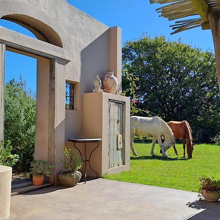Akasha Mountain Retreat, New Location Villa Heidelberg  Eksteriør bilde
